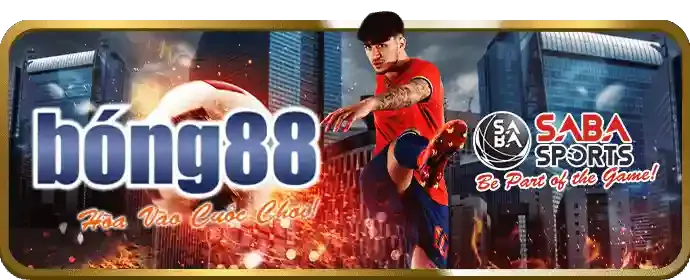 Cách đặt cược đá gà