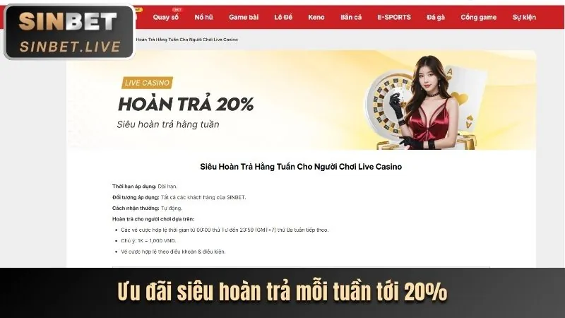 Tính năng mới trên nền tảng poker bet
